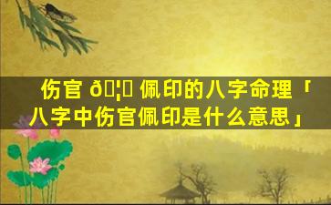 伤官 🦍 佩印的八字命理「八字中伤官佩印是什么意思」